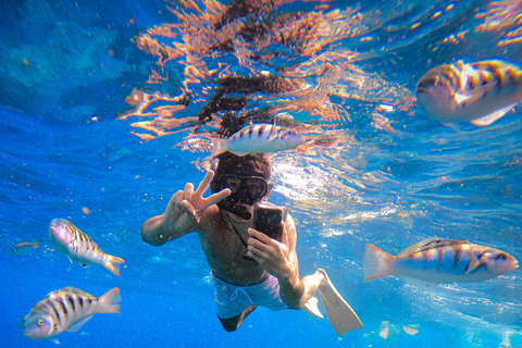 Nusa Penida: Snorkeling Adventure 3-Spots with Manta Rays Nusa Penida: Snorkeling Manta Point 3-Spots with Manta Rays