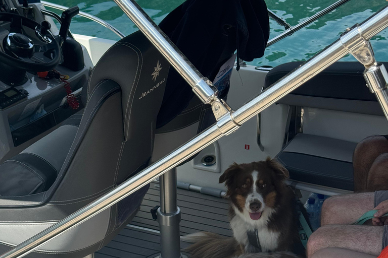 Kotor: Wine tasting & Lady of the Rocks speedboat getaway