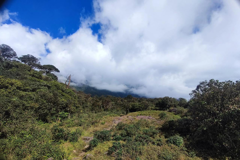 Kandy: escursione di 2 giorni sul monte Knuckles e tour del villaggioKandy: escursione di 2 giorni sul monte Knuckles e tour dei villaggi