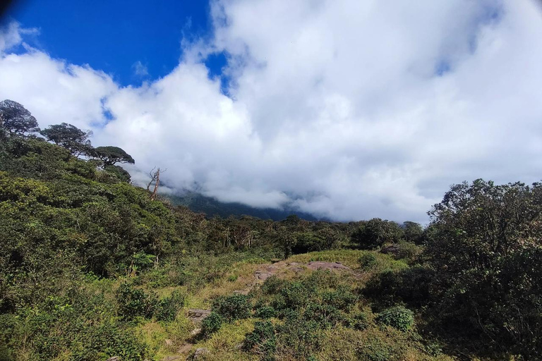 Kandy: escursione di 2 giorni sul monte Knuckles e tour del villaggioKandy: escursione di 2 giorni sul monte Knuckles e tour dei villaggi