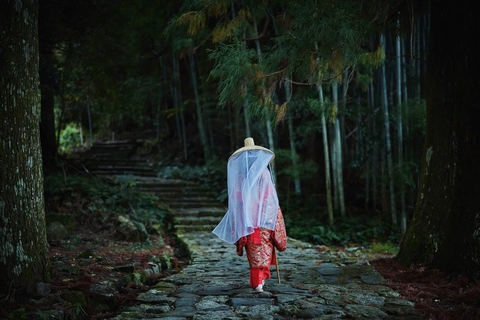 Wakayama & Koyasan: Private Tour with Hotel Pickup & Lunch