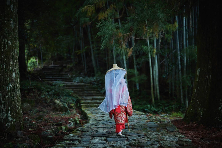 Wakayama & Koyasan: Private Tour with Hotel Pickup & Lunch