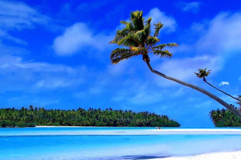 Private: Punta Cana to Catalina: Snorkeling, Beach & Buffet