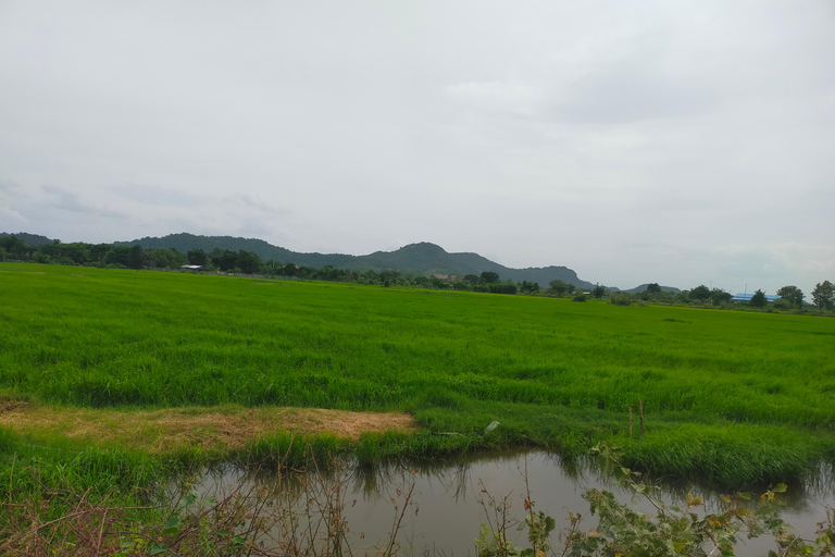 Excursión de un día en Tuk Tuk por la ciudad y el campo de BattambangExcursión en Tuk Tuk de día completo por la ciudad y el campo de Battambang