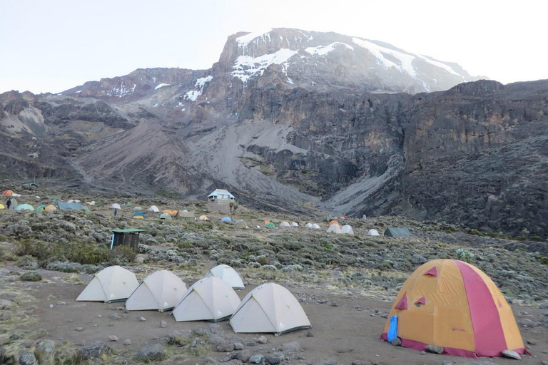 Arusha: 7-Day Mount Kilimanjaro Machame Route Trek