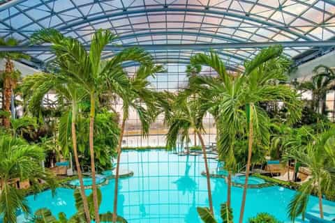 Therme Bucarest : Bien-être et spa avec transfert et billet d'entrée