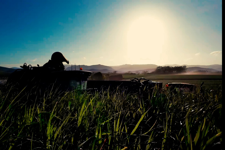 Mackay: 3 Hour Sugarcane Farm Tour