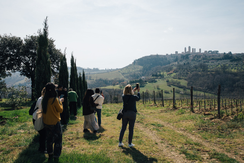 Florence: Pisa, Siena, San Gimignano, and Chianti Experience Tour in English