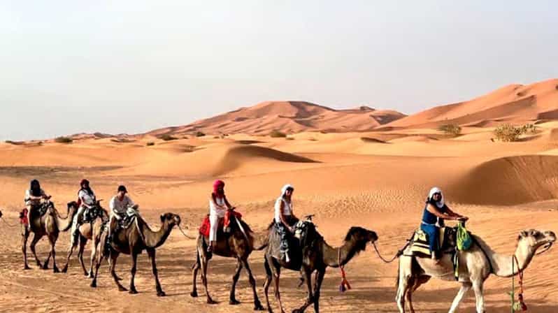 Marrakech : Excursion de luxe de 3 jours au Sahara avec campement dans le désert - dromadaire