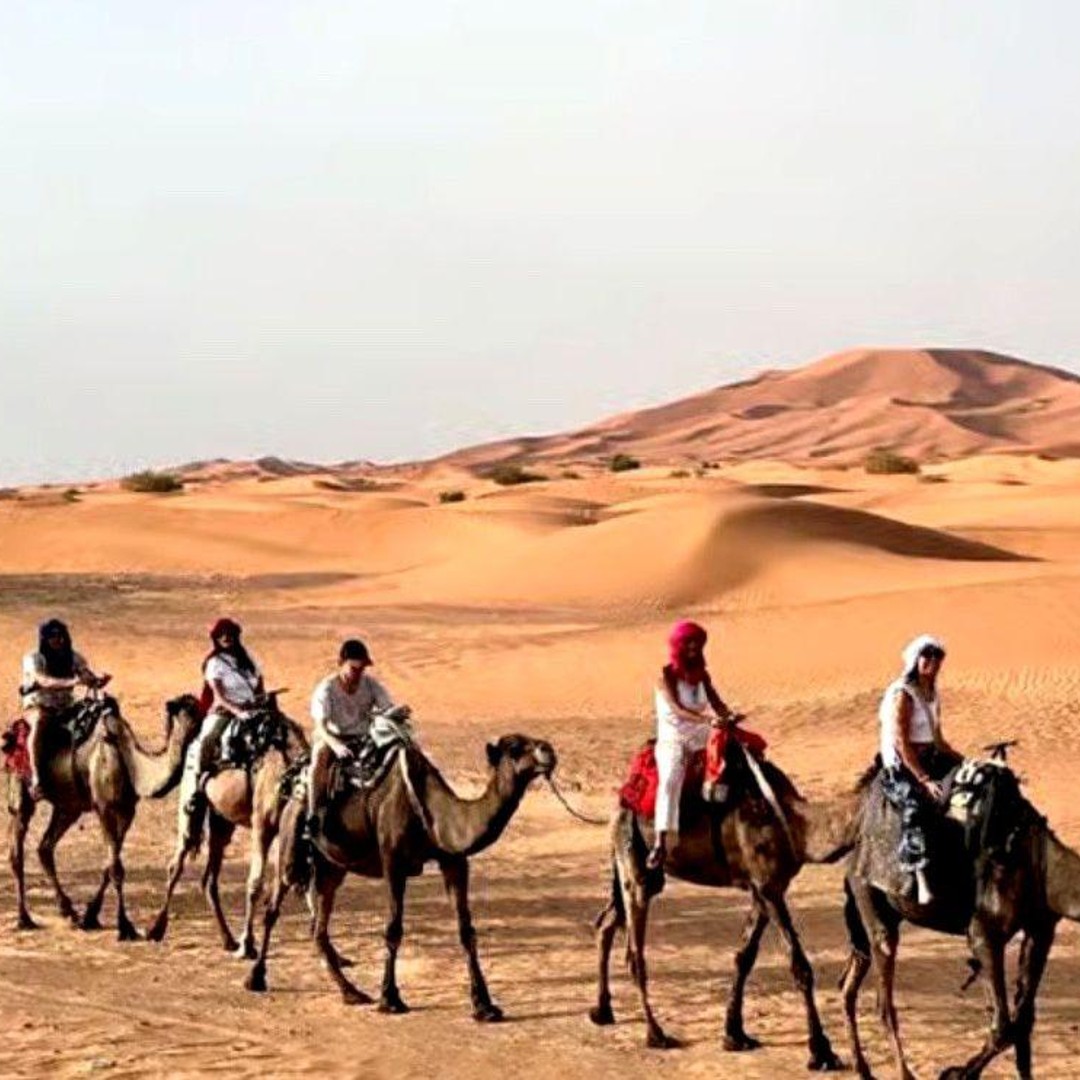 Marrakech : Excursion de luxe de 3 jours au Sahara avec campement dans le désert - dromadaire