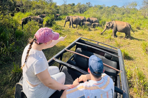 Sigiriya: Ethical Hurulu Elephant Safari With Guide Ethical Elephant Safari Without Entrance Ticket