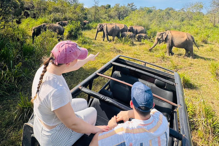 Sigiriya: Ethical Hurulu Elephant Safari With Guide Ethical Elephant Safari Without Entrance Ticket