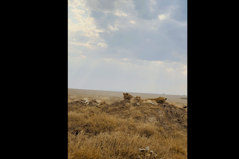 5 DAY SAFARI INTO THE WILD