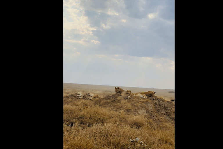 5 DAY SAFARI INTO THE WILD