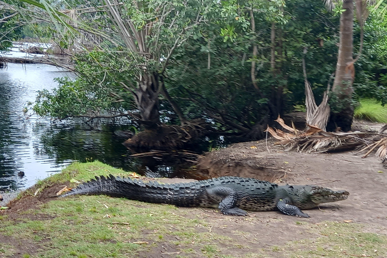 Desde Huatulco: Excursión Ecológica Cocodrilos y TortugasServicio Privado en Vehículo Avanza