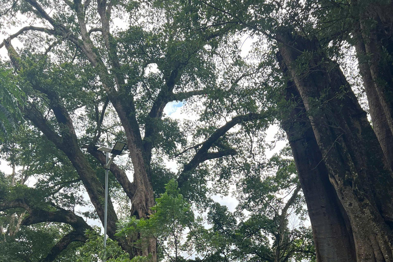 Ha Giang Loop 4D3N Easyrider Jasmine Tour