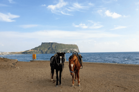 Jeju: Eastern UNESCO Sites Tour with Hotel Pickup