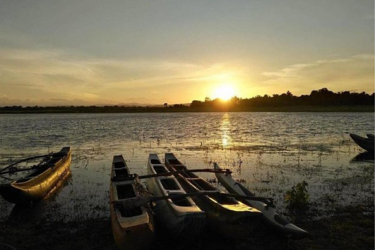 Sigiriya Rural Culture & Lake Crossing with Dimo Local Lunch