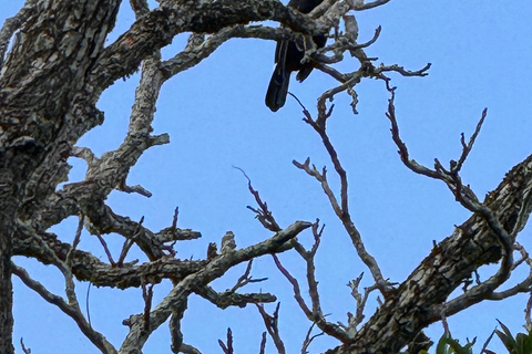 Brasilianische Iguassu-Fälle, Vogelpark Bootssafari alle Tickets