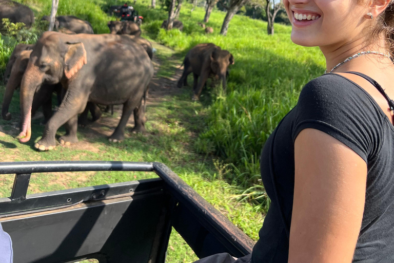 Wild Elephant Safari Tour Minneriya, Kaudulla & Hurulu ECO Start from Dambulla