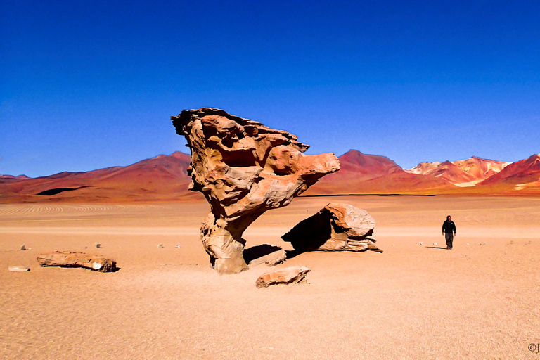 Salar de Uyuni 3D/2N Shared Tour, Spanish Guide