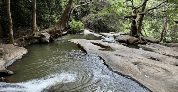 Ella: Pallewela Tuk-Tuk Waterfall Journey