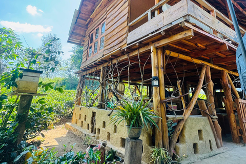 ELLA : Tea-Making Experience Tour with Tasting and Snacks