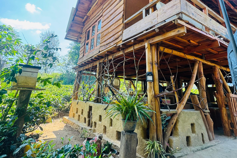 ELLA : Tea-Making Experience Tour with Tasting and Snacks