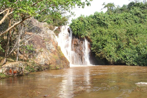 From Kampala: Mabira Forest Walk & Ssezibwa Falls Experience
