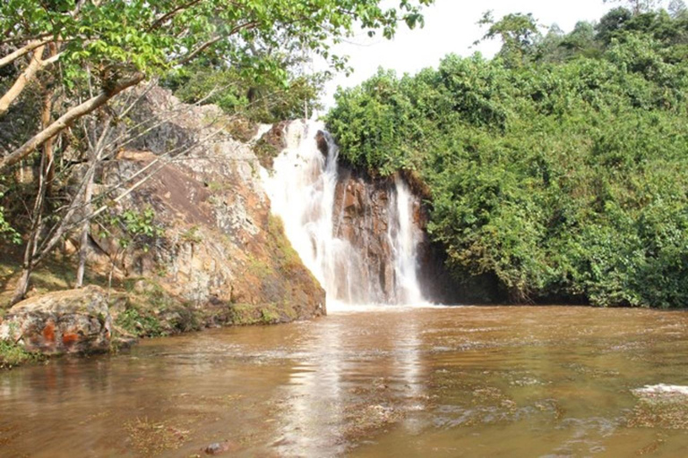 From Kampala: Mabira Forest Walk & Ssezibwa Falls Experience