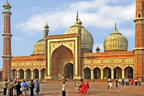 Delhi: Private Half-Day or Full-Day Old and New Delhi Tour Customized 6-Hour Tour