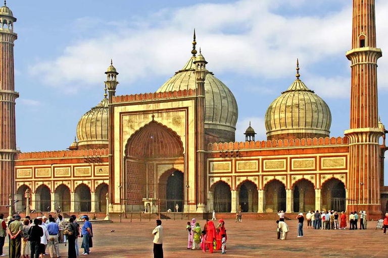 Delhi: Private Half-Day or Full-Day Old and New Delhi Tour Customized 6-Hour Tour