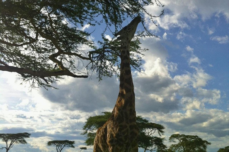 Nairobi: Crescent Island Walking Safari and Lake Naivasha Shared: Crescent Island and Lake Naivasha without Entry Fee