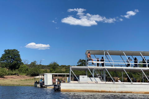 Excursión de un día a Chobe