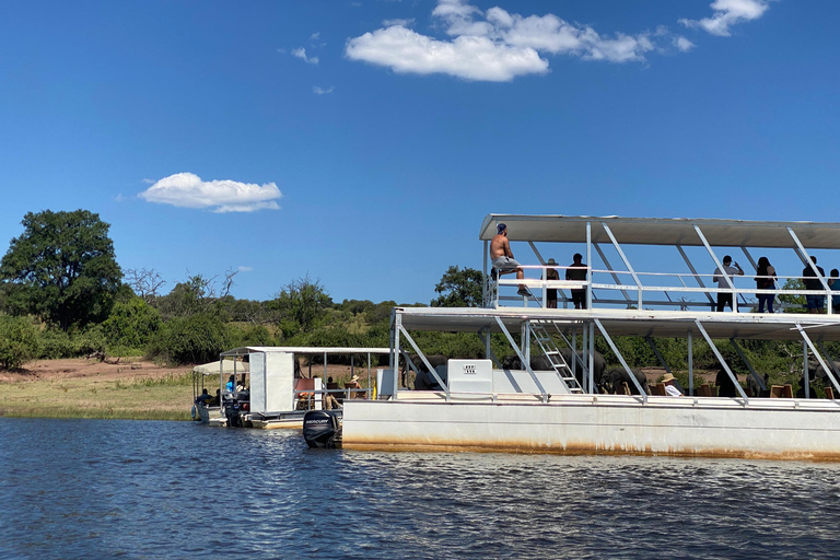 Excursión de un día a Chobe