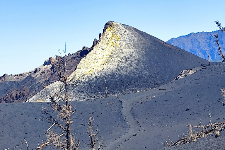 Tajogaite VIP Experience: Ruta Privada con Guía certificado y Dron