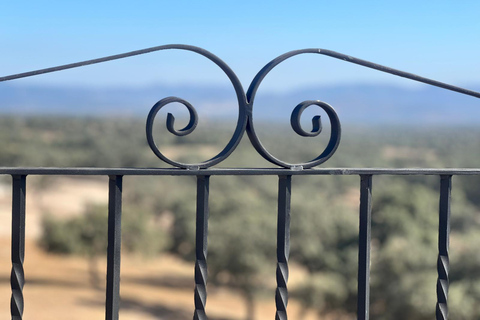 Traditional cuisine and flavors of the pasture in Los Pedroches