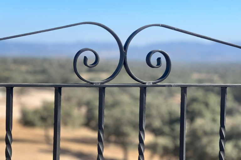 Traditional cuisine and flavors of the pasture in Los Pedroches
