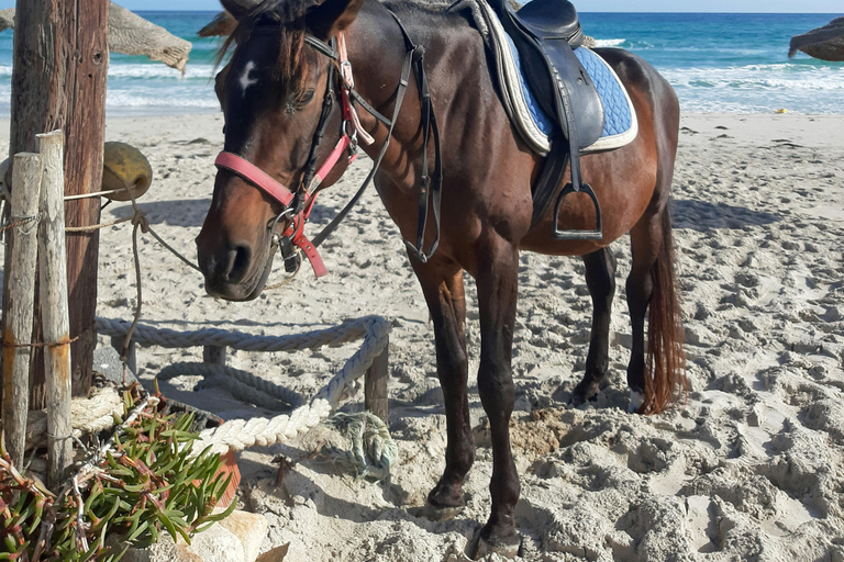 Barbados: Unique Horseback Riding by the Beach