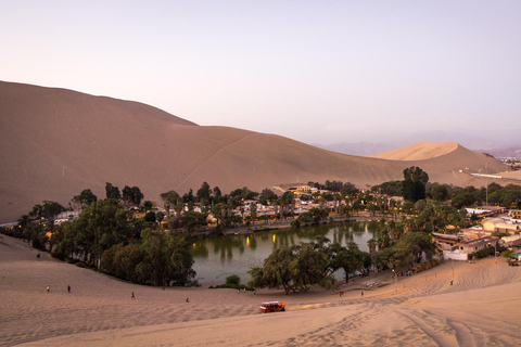 Desde Ica: Sandboarding en el desierto de Ica al atardecer