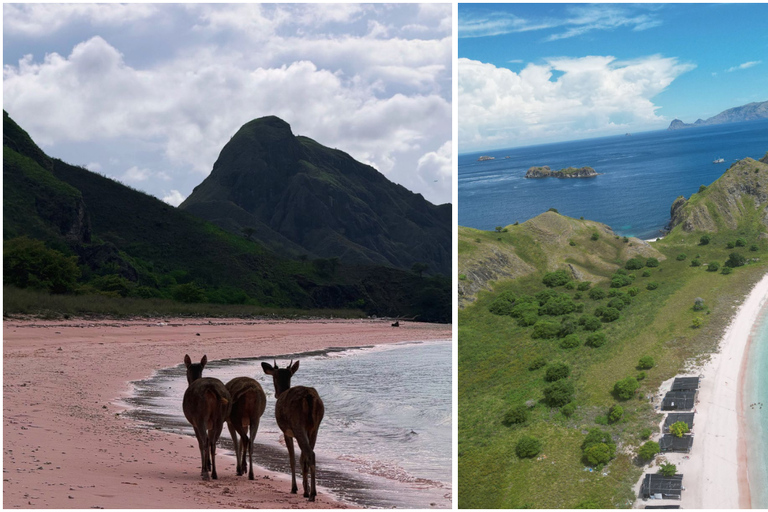 Komodo Speedboat Long Day Trip: 8 Highlights in One Day