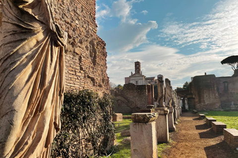 Colosseum Underground and Arena tour 7 people guarantee