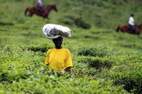 UGANDA Paardrijden - SCHITTERENDE LANDSCHAPPEN &amp; Avonturen | 8 Dagen