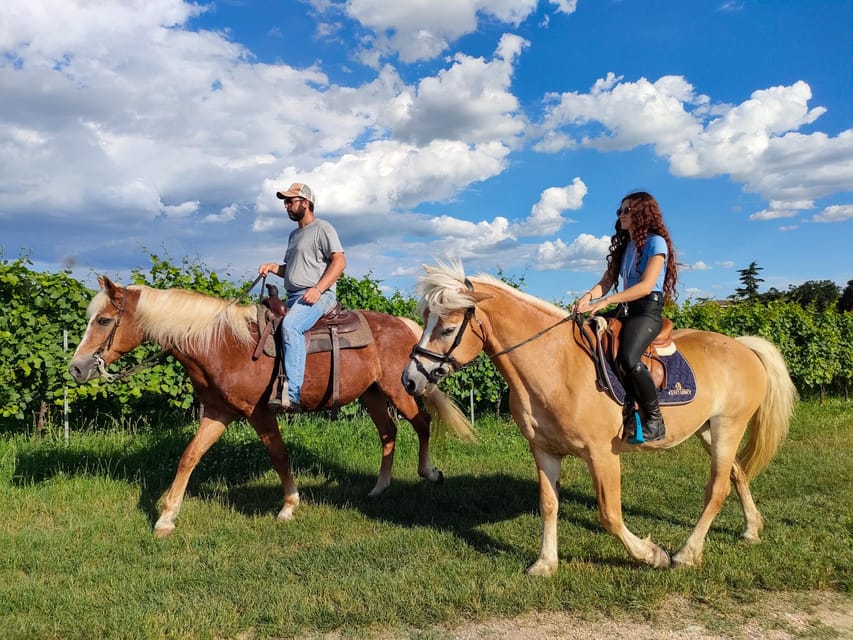 Two riders on chestnut and palomino horses walking along a grass track beside a vineyard under a bright blue sky with large white clouds