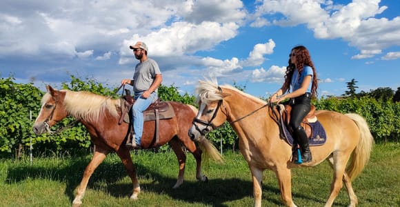 Two riders on chestnut and palomino horses walking along a grass track beside a vineyard under a bright blue sky with large white clouds