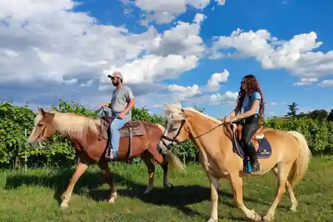 Lazise : balade à cheval et pique-nique à la ferme avec produits locaux