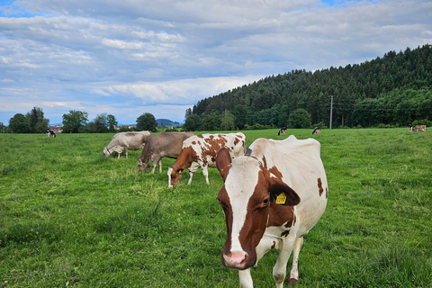 Zurych:Interlaken Grindelwald, Lauterbrunnen (opcja prywatna)