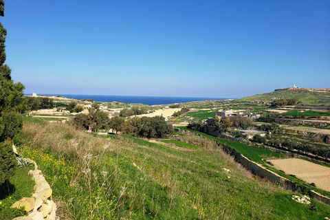 Gozo: Family Winery Estate Tour with Wine Tasting Gozo: Family Estate Tour with Wine Tasting