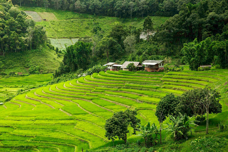 Trekking w Parku Narodowym Doi Inthanon i Pha Dok Siew Trail TrekWycieczka do Parku Narodowego Doi Inthanon i Pha Dok Siew Trail Trek