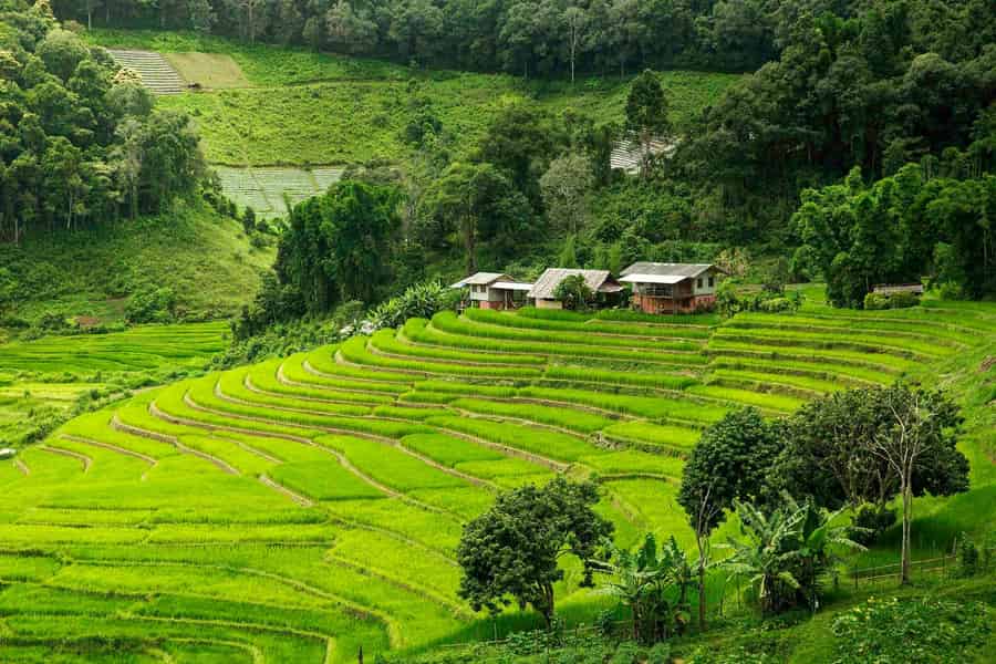 Chiang Mai: Doi Inthanon Trip mit Pha Dok Siew Guided Trek. Foto: GetYourGuide